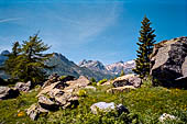 Parco del Monte Avic (Val d'Aosta). Nei pressi del rif. Barbustel (2200 m).